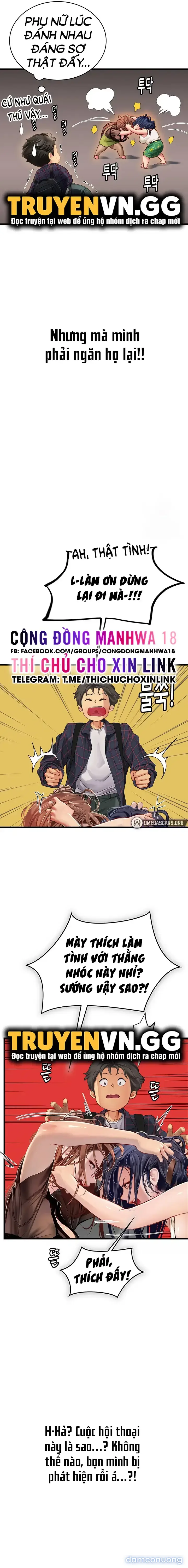 Nàng tiên cá tôi yêu 
