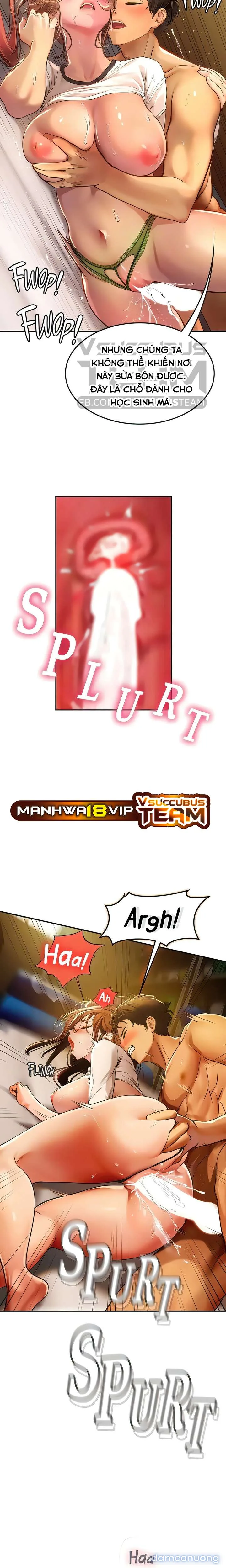 Nàng tiên cá tôi yêu 