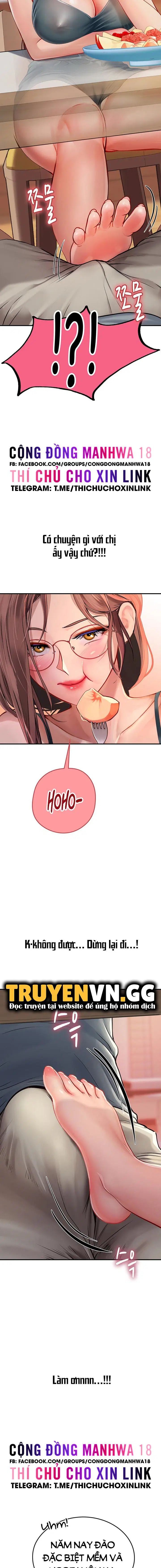 Nàng tiên cá tôi yêu 