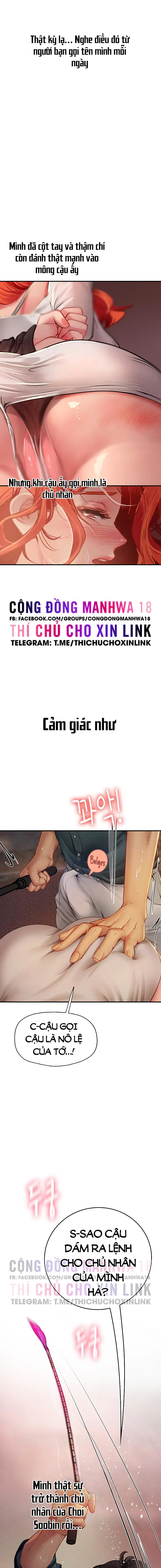 Nàng tiên cá tôi yêu 