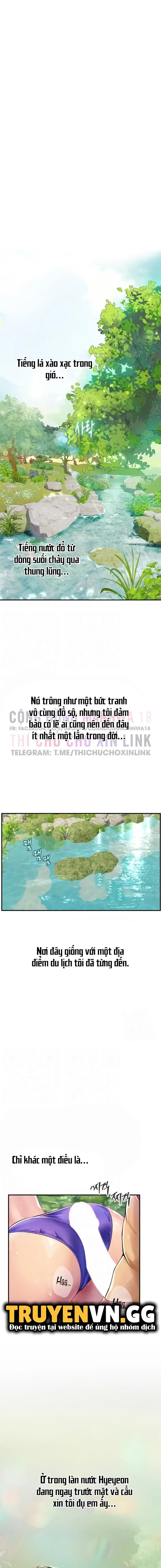 Nàng tiên cá tôi yêu 