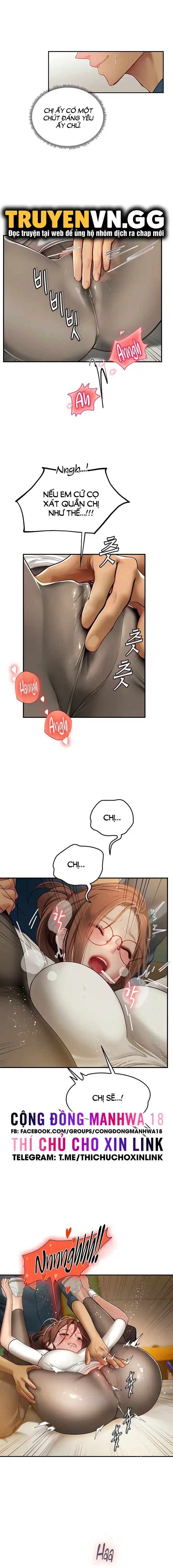 Nàng tiên cá tôi yêu 