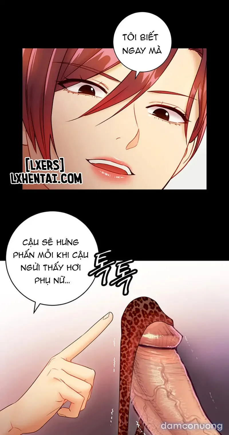 Sự thác loạn 