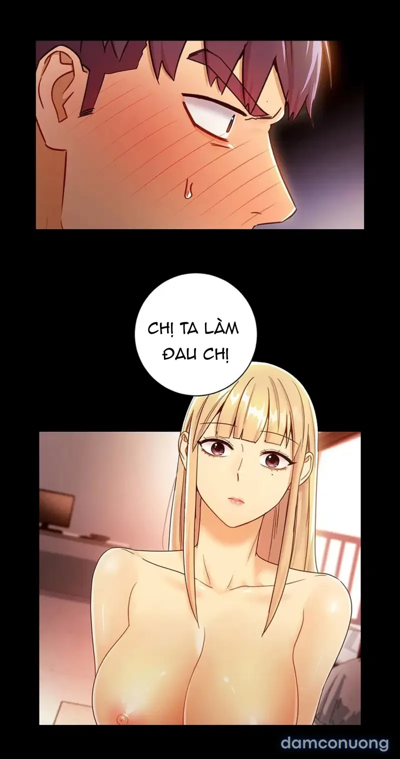 Sự thác loạn 