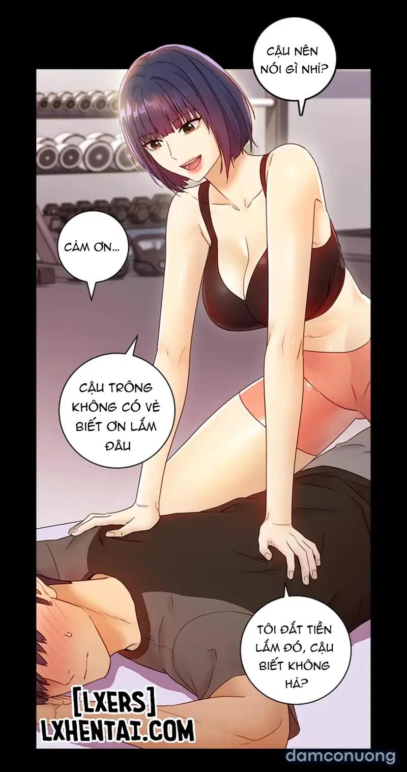 Sự thác loạn 