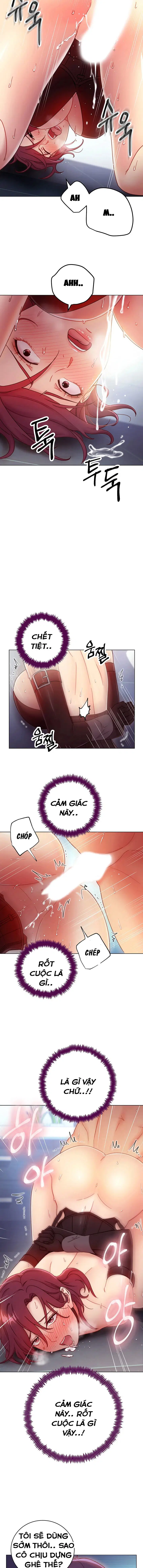 Sự thác loạn 