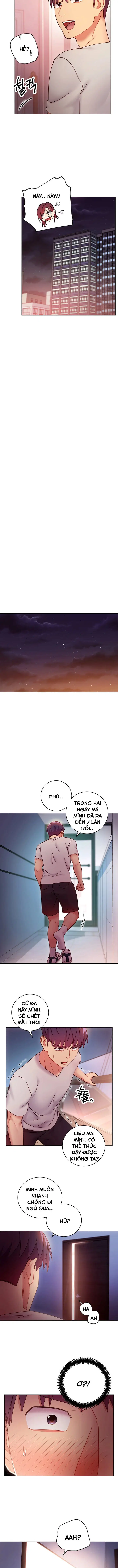 Sự thác loạn 