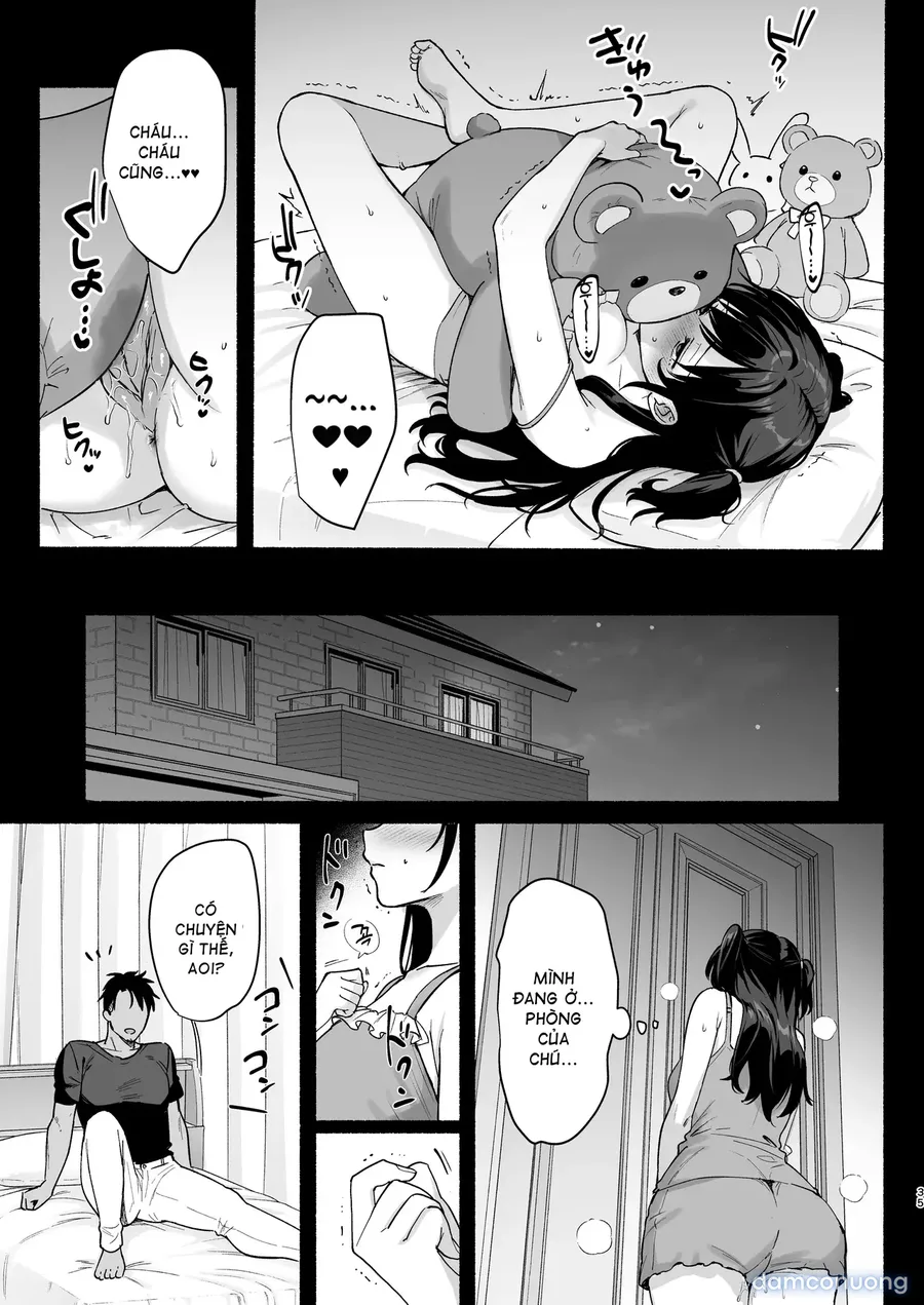 Mesu no Ie III ~Oyako wa Midare Aisareru~ | 雌家III〜母女二人的禁乱之爱〜 