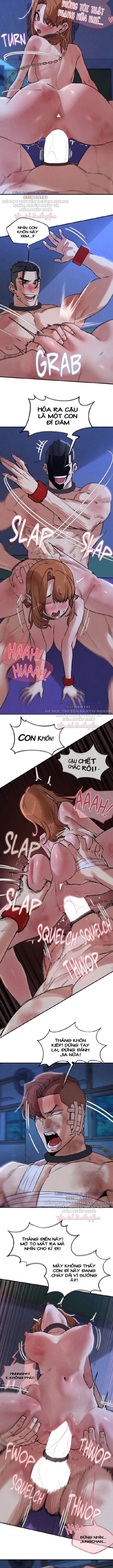 Trò Chơi Mạo Hiểm 