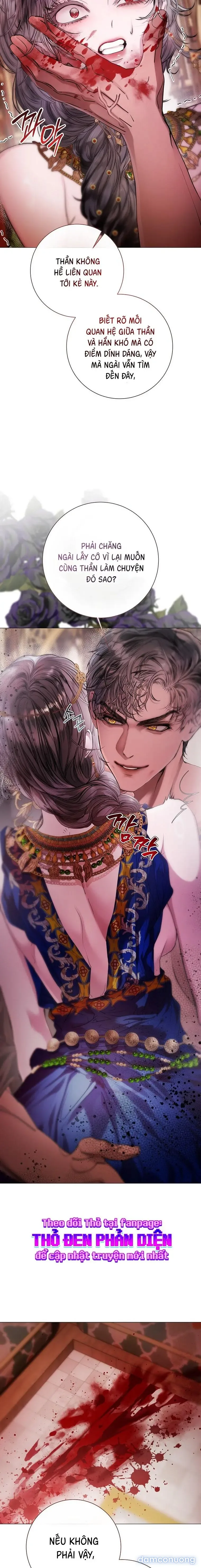 Cẩm Nang Dành Cho Merry Bad Ending 