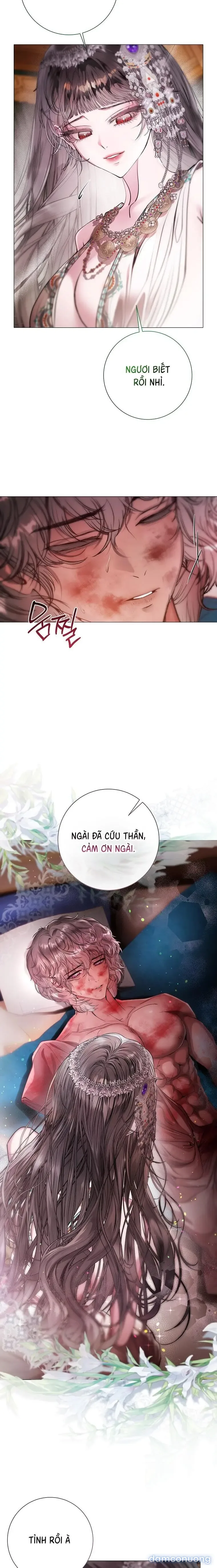 Cẩm Nang Dành Cho Merry Bad Ending 