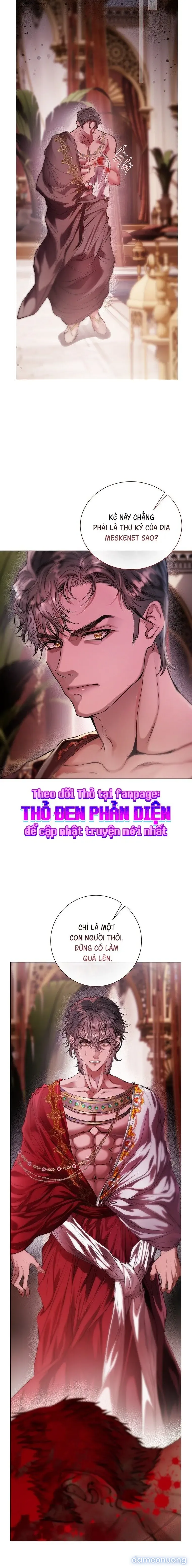 Cẩm Nang Dành Cho Merry Bad Ending 