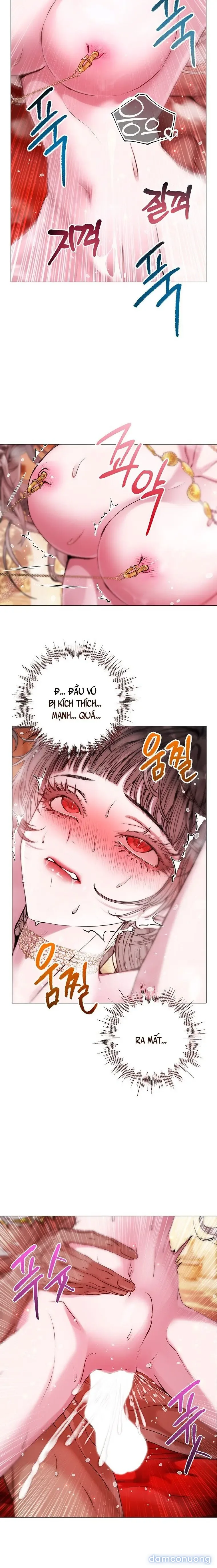 Cẩm Nang Dành Cho Merry Bad Ending 