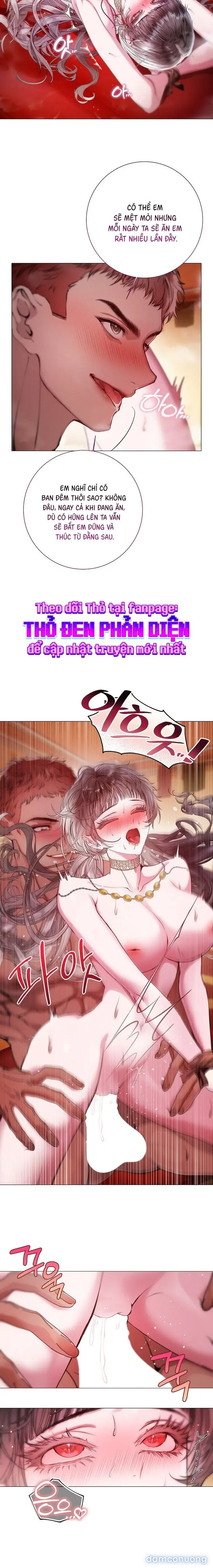 Cẩm Nang Dành Cho Merry Bad Ending 