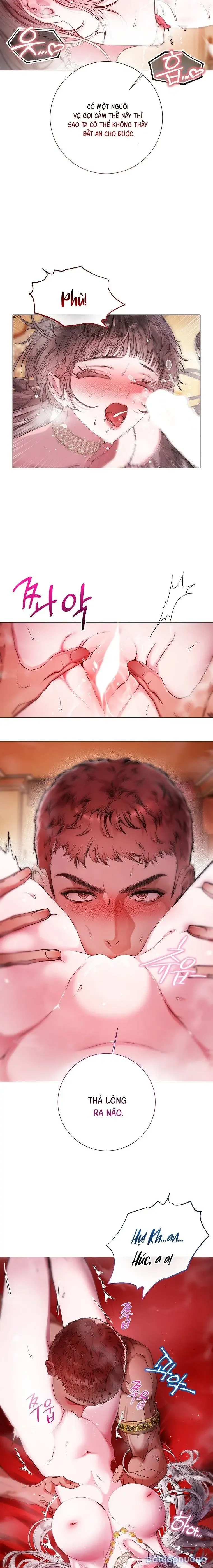 Cẩm Nang Dành Cho Merry Bad Ending 