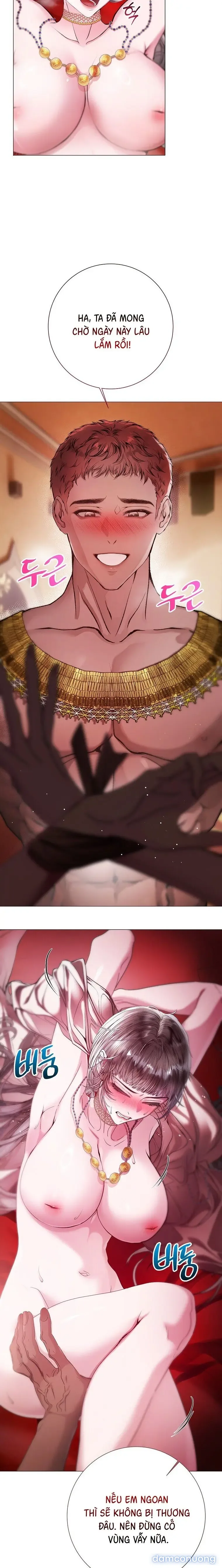 Cẩm Nang Dành Cho Merry Bad Ending 