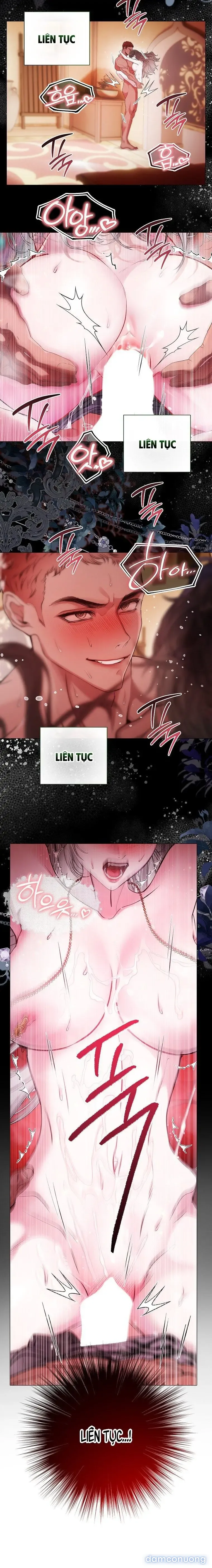 Cẩm Nang Dành Cho Merry Bad Ending 
