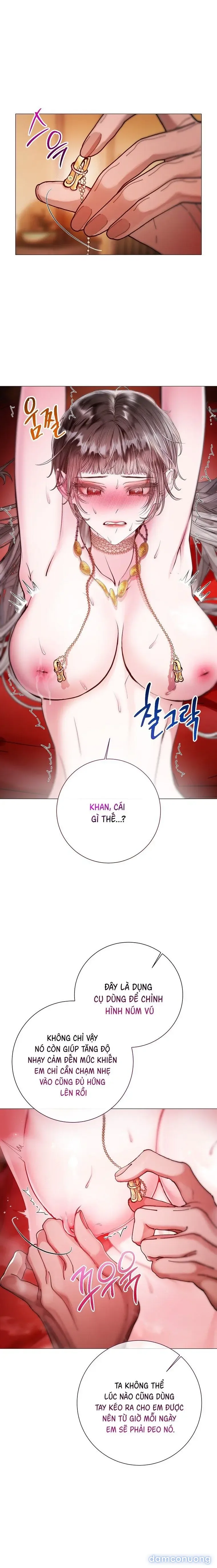 Cẩm Nang Dành Cho Merry Bad Ending 