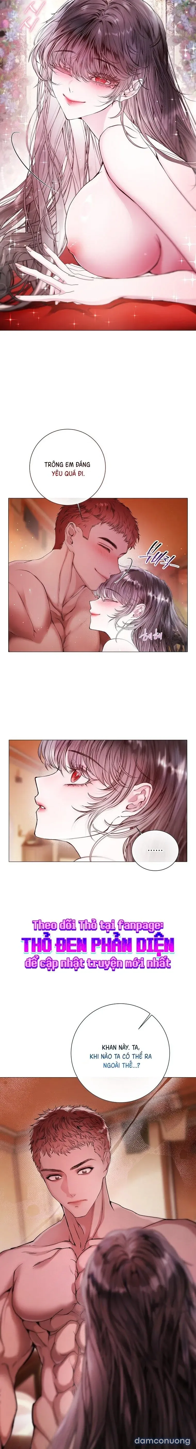 Cẩm Nang Dành Cho Merry Bad Ending 