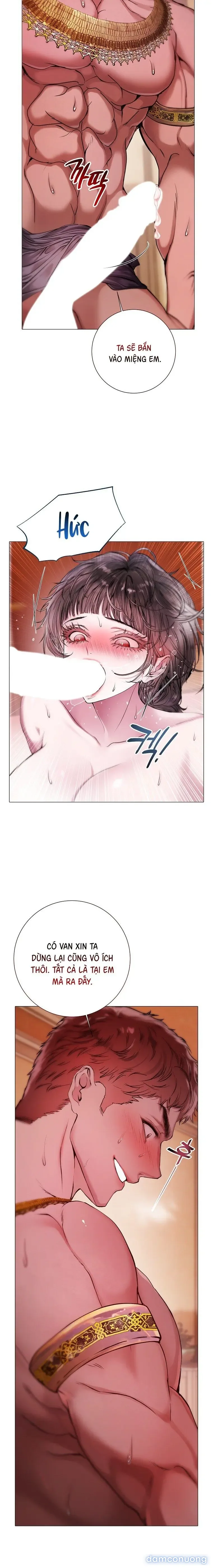 Cẩm Nang Dành Cho Merry Bad Ending 