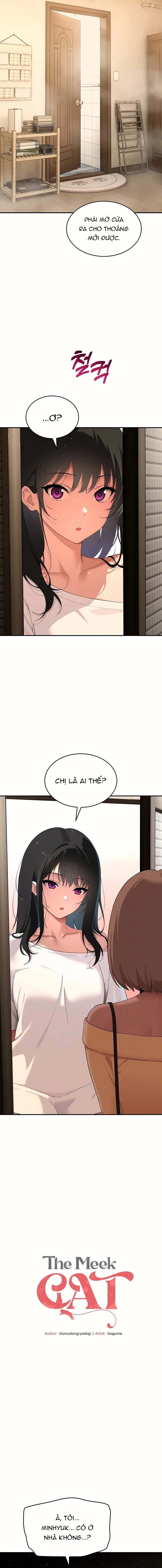 Góc Khuất Của Chú Mèo Ngoan 