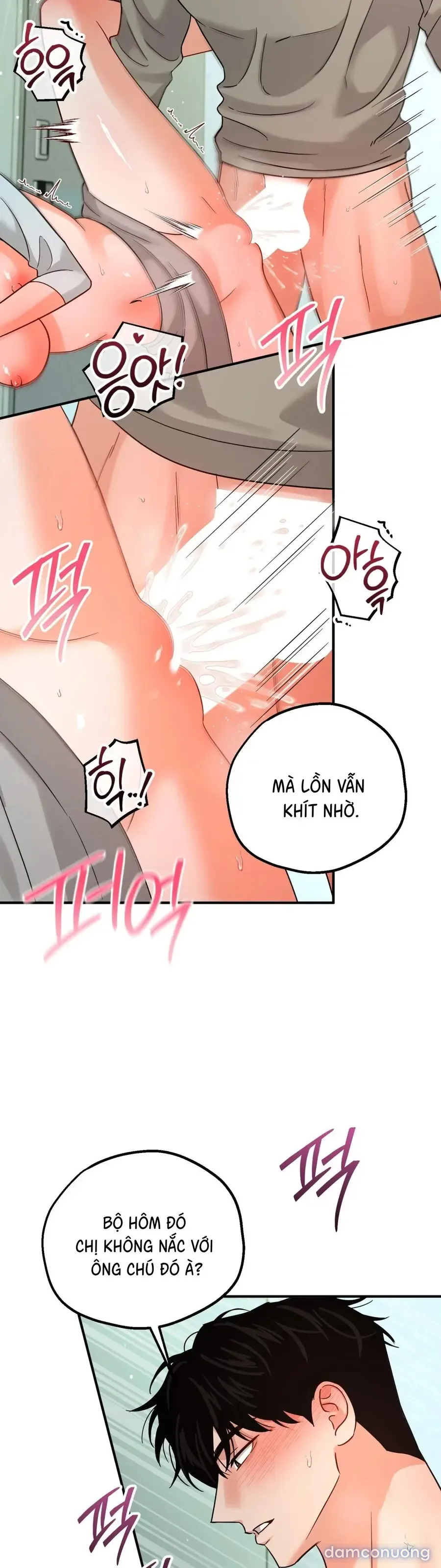 Huấn Luyện Viên Hai Hương Vị 