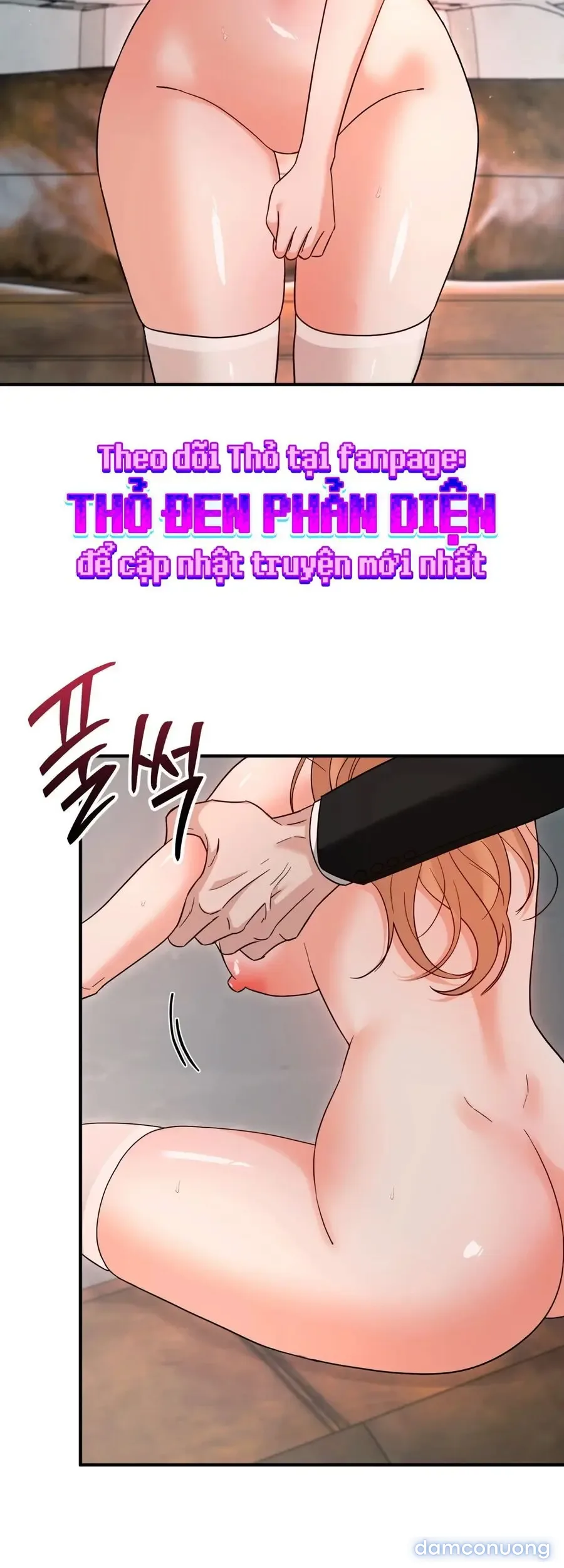 Huấn Luyện Viên Hai Hương Vị 