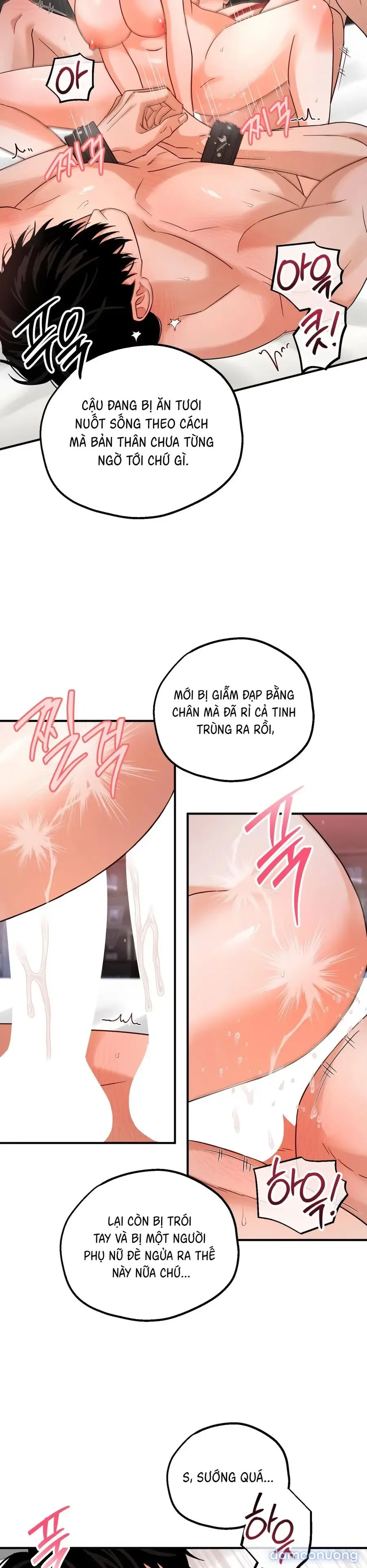 Huấn Luyện Viên Hai Hương Vị 