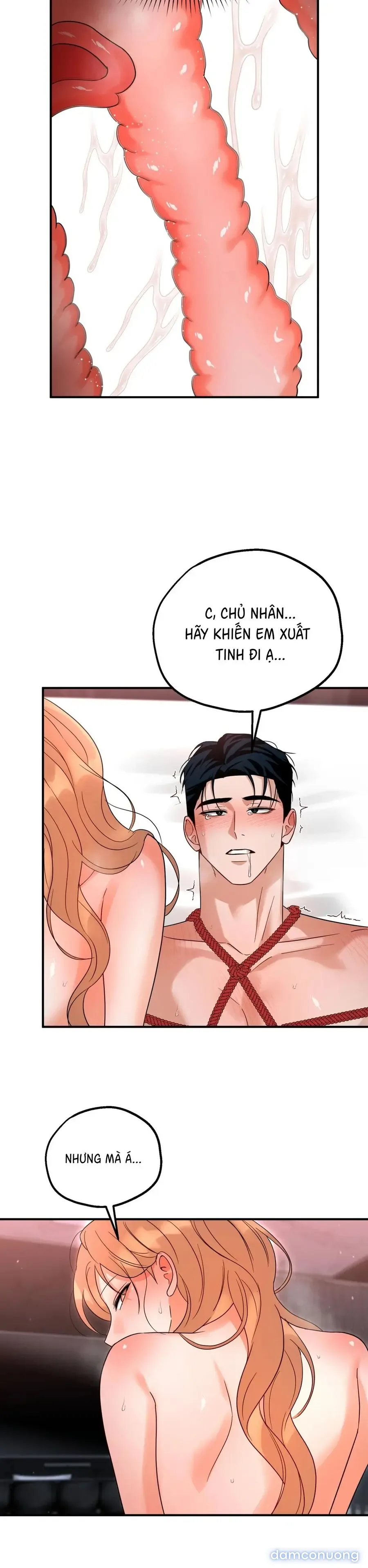 Huấn Luyện Viên Hai Hương Vị 