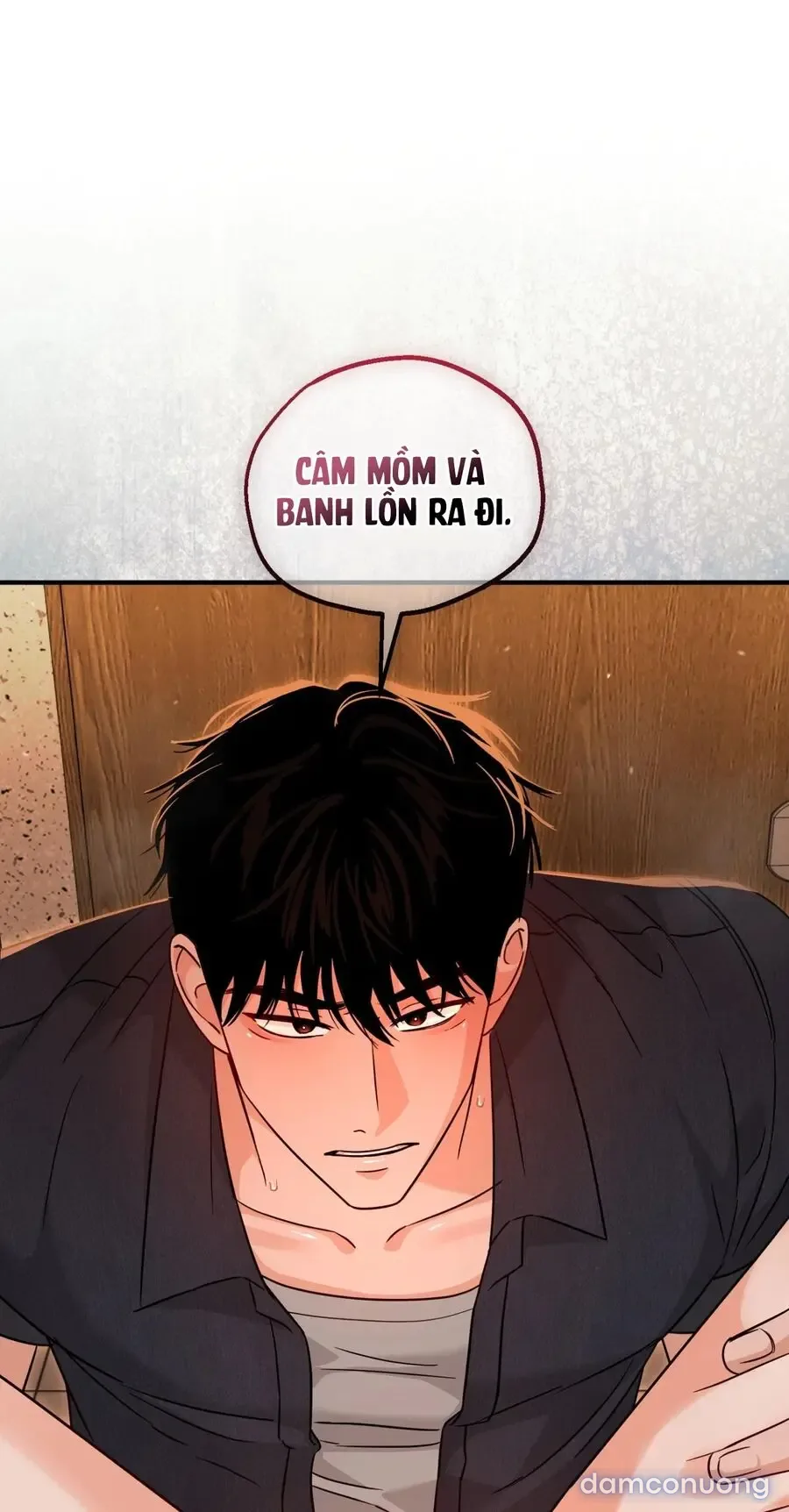 Huấn Luyện Viên Hai Hương Vị 
