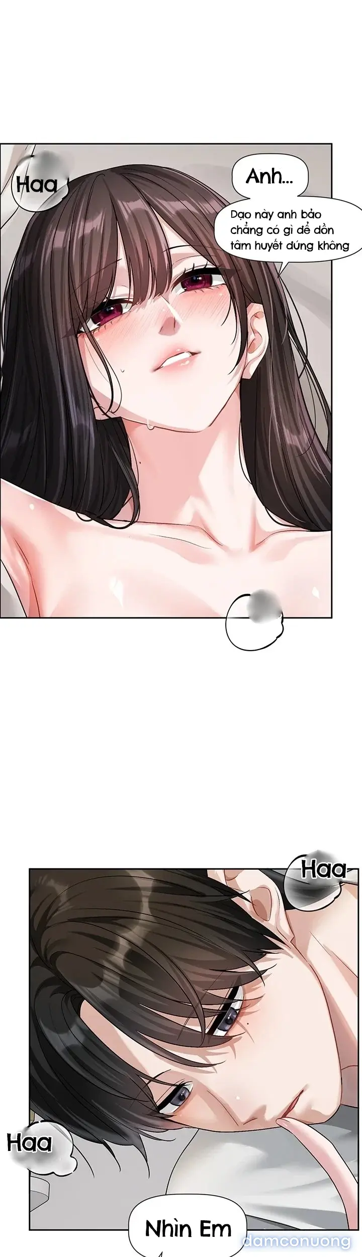 Nhiệm Vụ Tình Yêu - Love Quest 