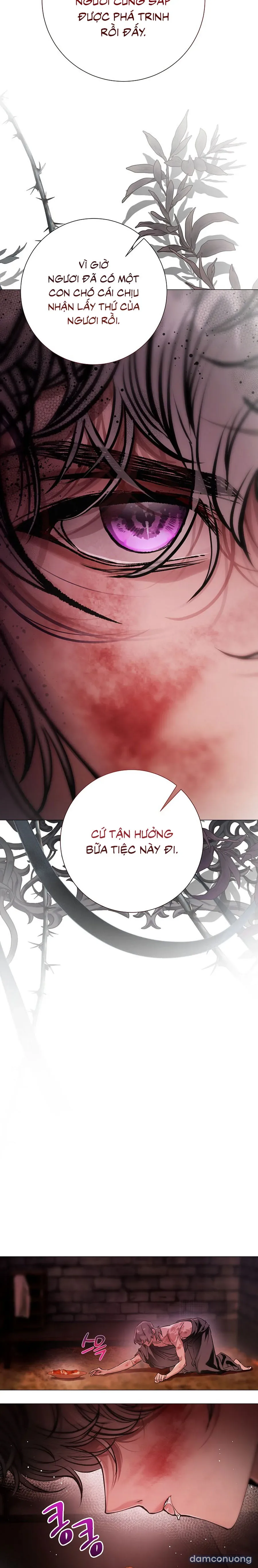 Cẩm Nang Chinh Phục Dành Cho Merry Bad Ending 