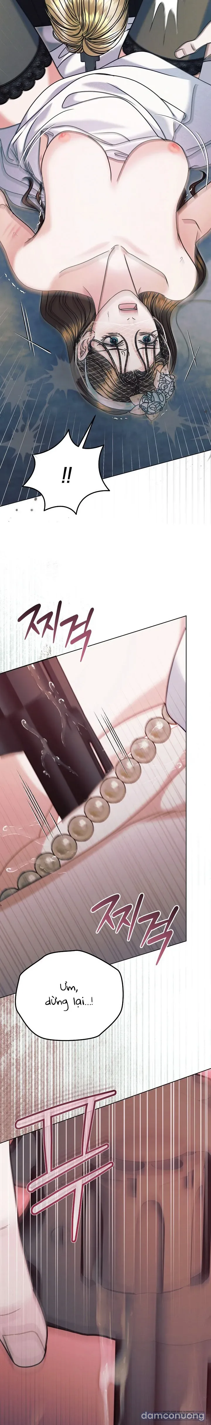 [18+] Hãy Cầu Xin Tôi Đi 