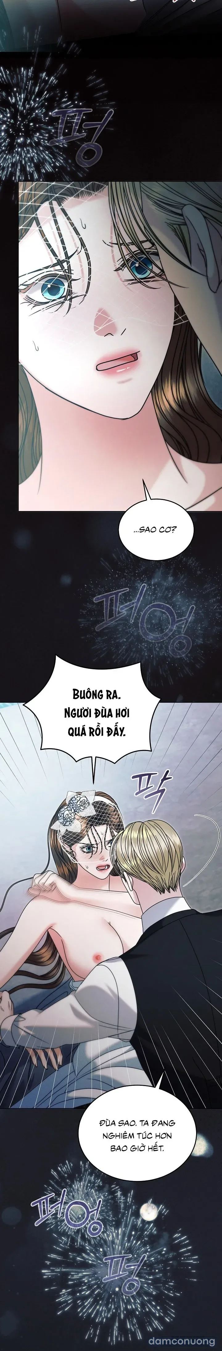 [18+] Hãy Cầu Xin Tôi Đi 