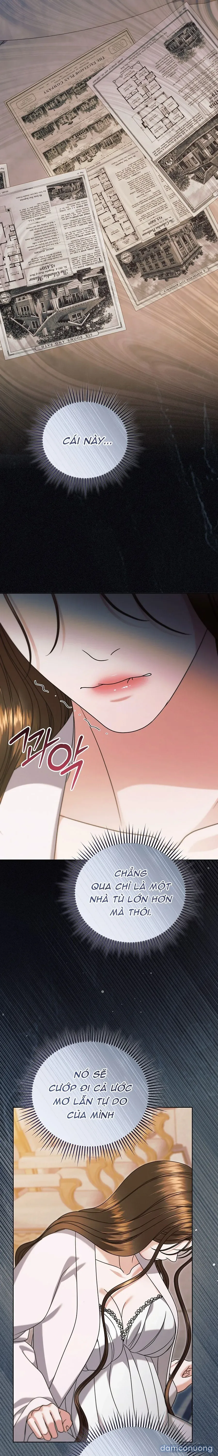[18+] Hãy Cầu Xin Tôi Đi 