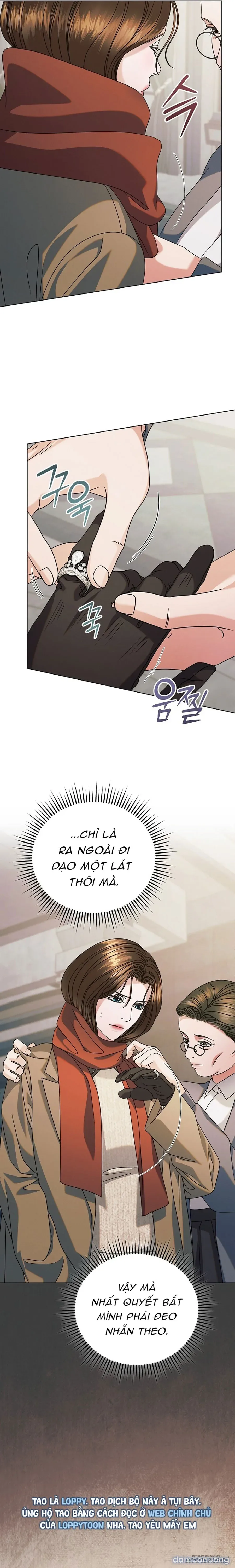 [18+] Hãy Cầu Xin Tôi Đi 