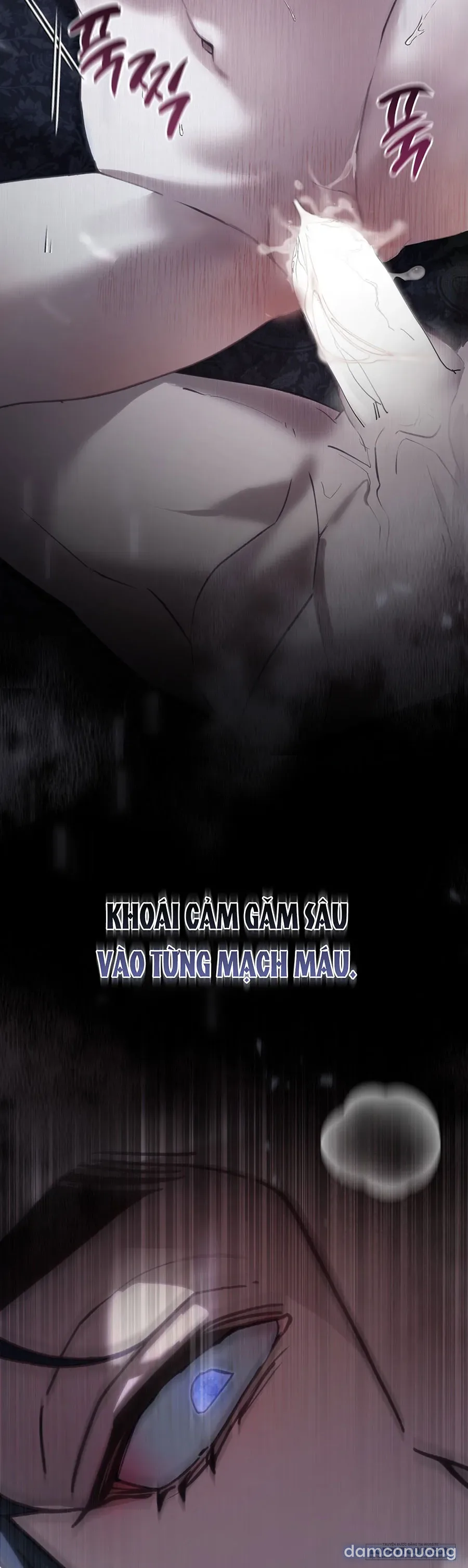 Sự Tàn Khốc Mang Tên Chuộc Tội 