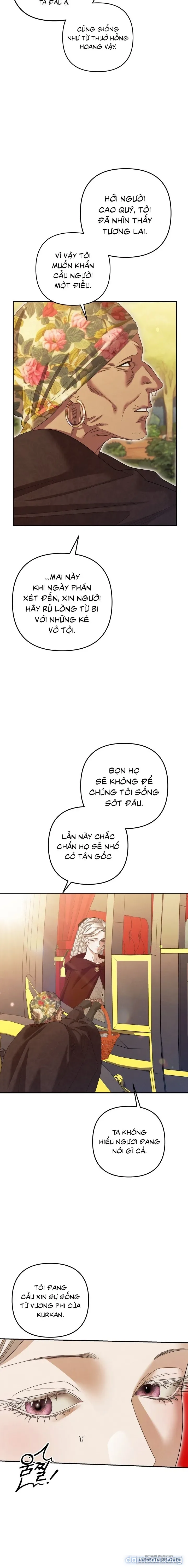 Cuộc Hôn Nhân Bị Cướp Đoạt 