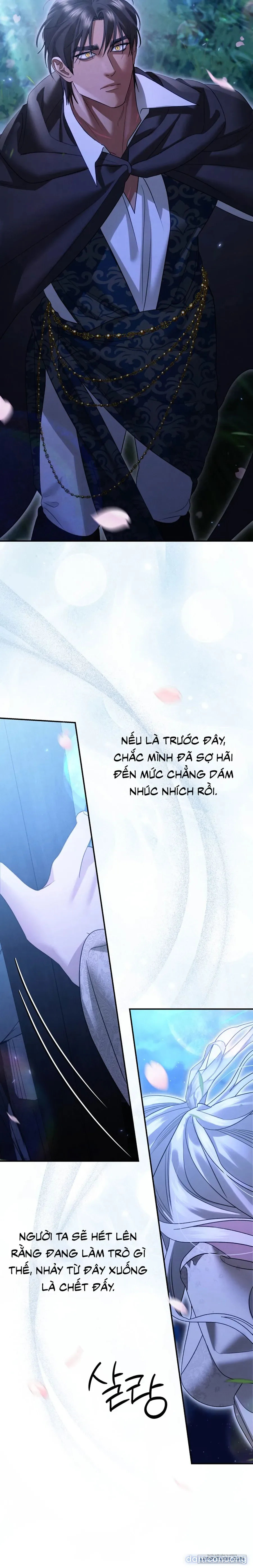 Cuộc Hôn Nhân Bị Cướp Đoạt 