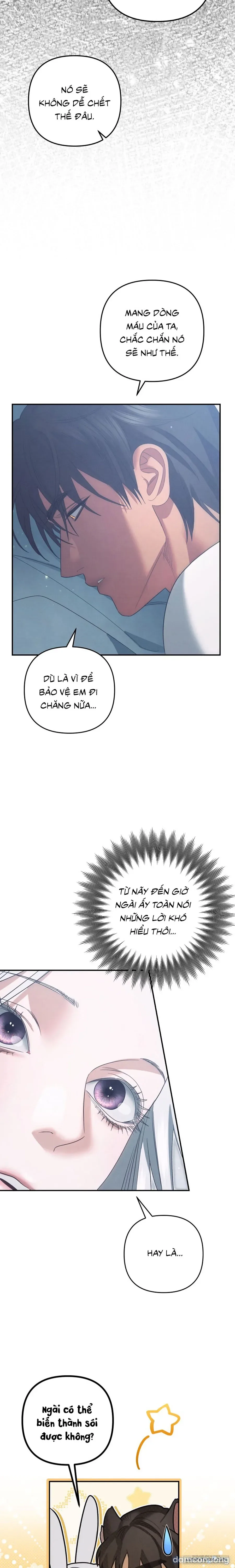 Cuộc Hôn Nhân Bị Cướp Đoạt 