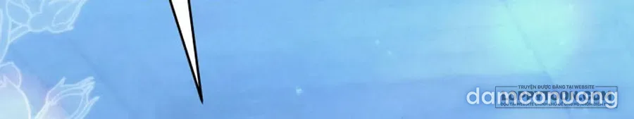 Cuộc Hôn Nhân Bị Cướp Đoạt 