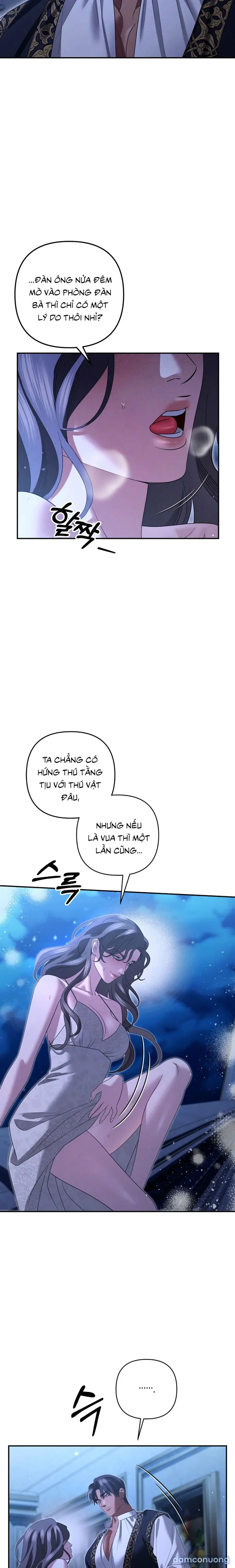 Cuộc Hôn Nhân Bị Cướp Đoạt 