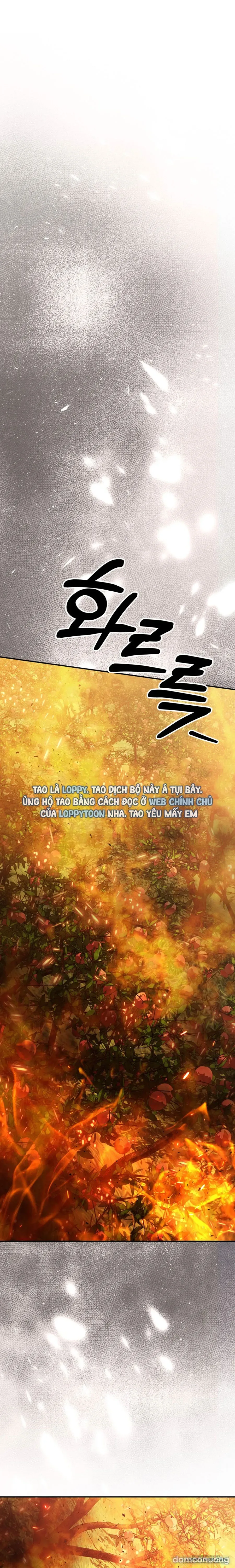 Cuộc Hôn Nhân Bị Cướp Đoạt 