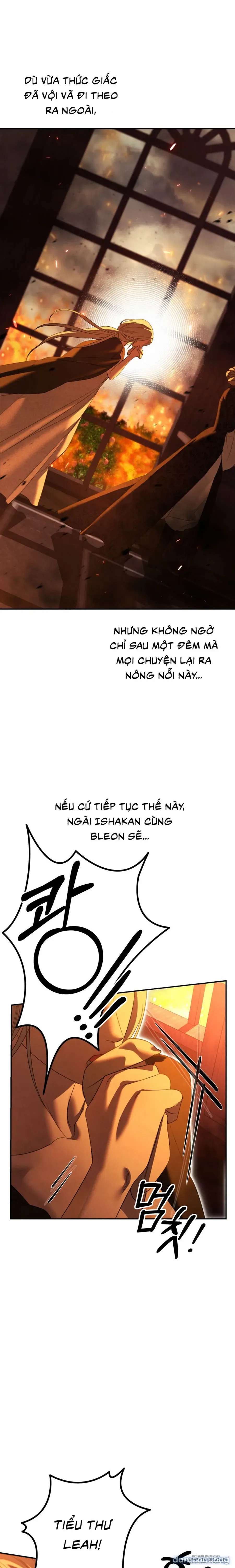 Cuộc Hôn Nhân Bị Cướp Đoạt 