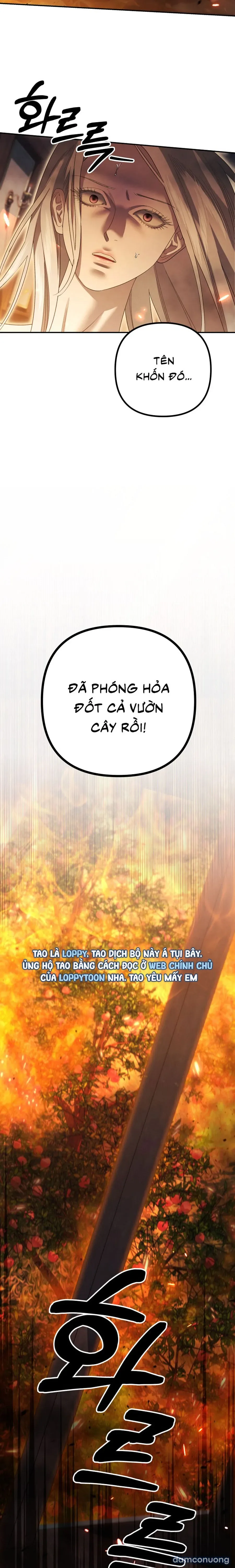 Cuộc Hôn Nhân Bị Cướp Đoạt 