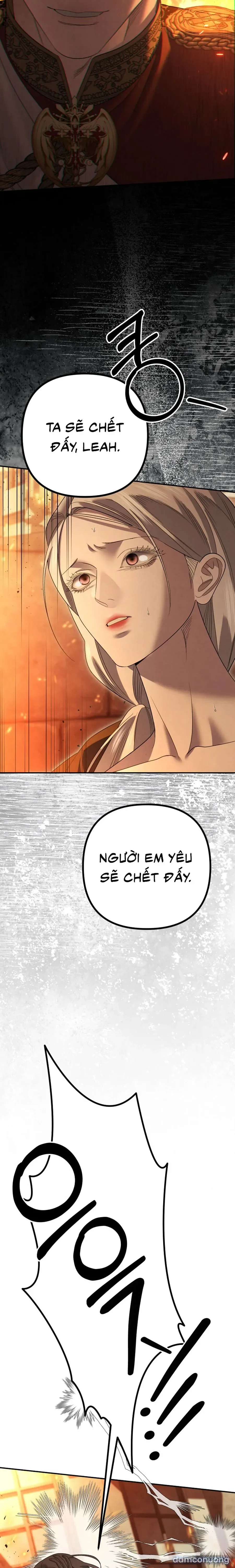Cuộc Hôn Nhân Bị Cướp Đoạt 
