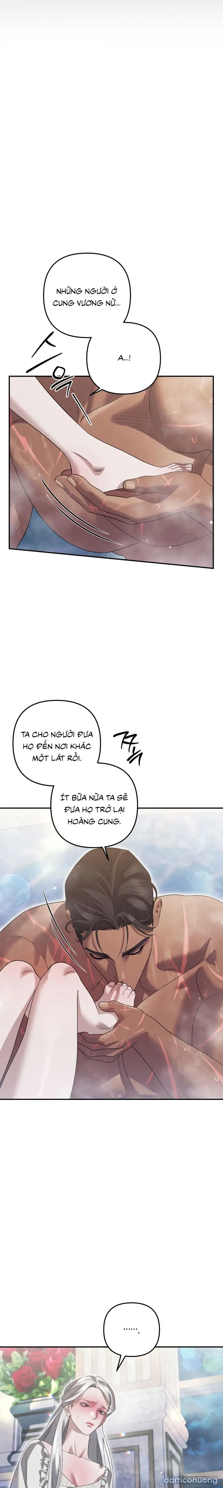 Cuộc Hôn Nhân Bị Cướp Đoạt 