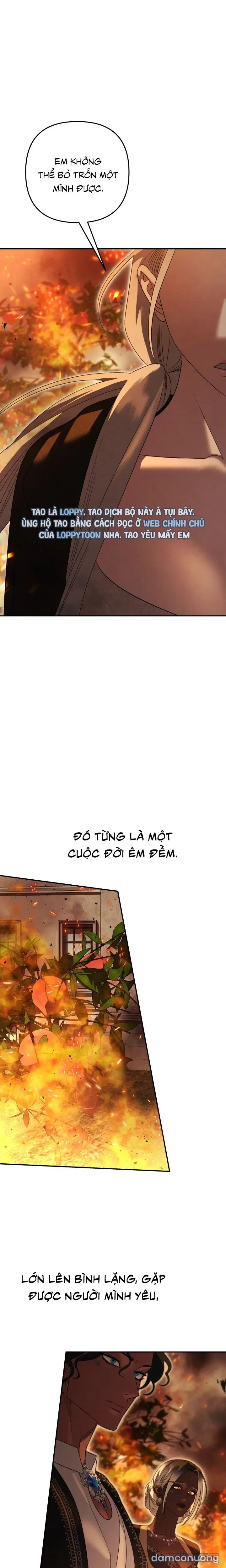 Cuộc Hôn Nhân Bị Cướp Đoạt 