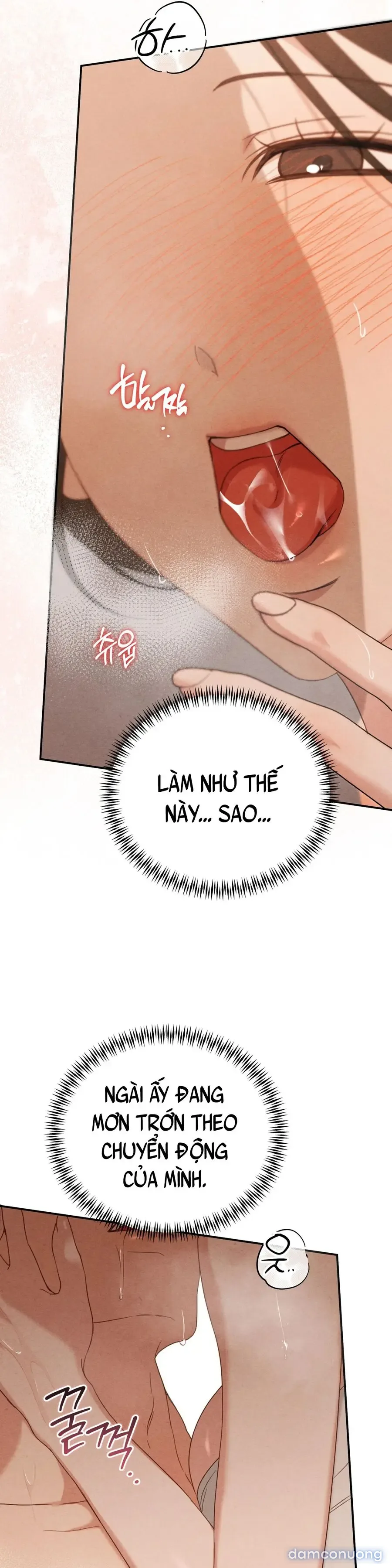 Phá Vỡ Cấm Kỵ 