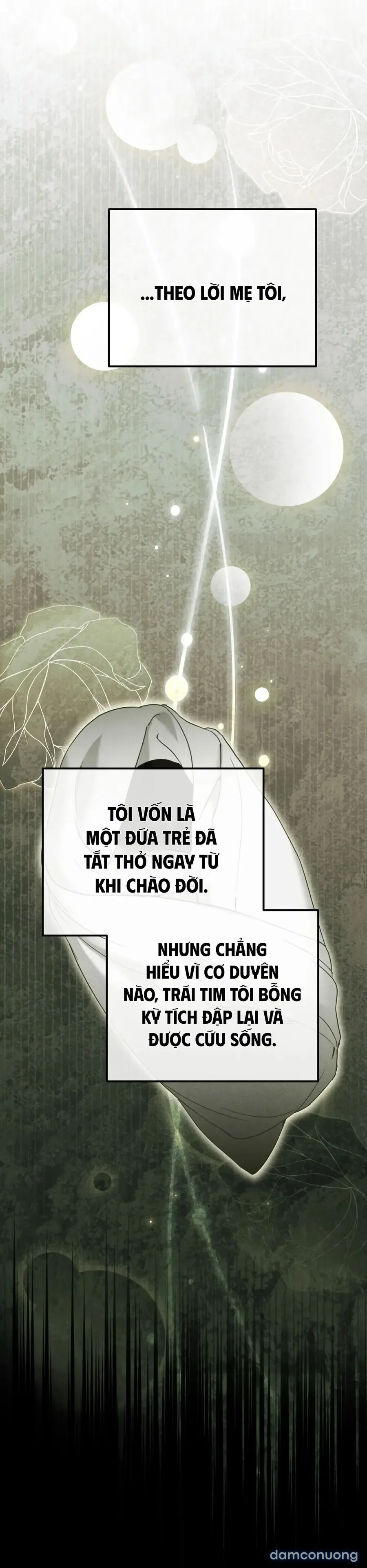 Phá Vỡ Cấm Kỵ 